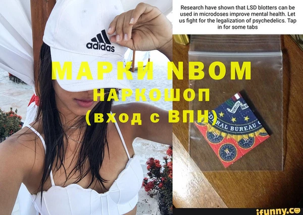 сатива Костерёво