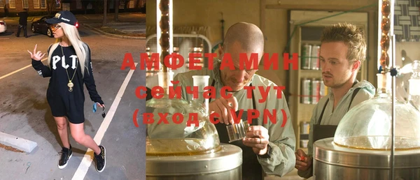 сатива Костерёво