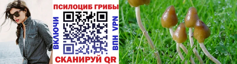 Купить  Брянск  Галлюциногенные грибы MAGIC MUSHROOMS 